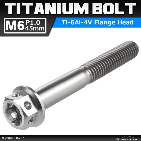 64チタンボルト M6×45mm P1.0 ホールヘッド 六角ボルト フランジ付き 六角ボルト シル...