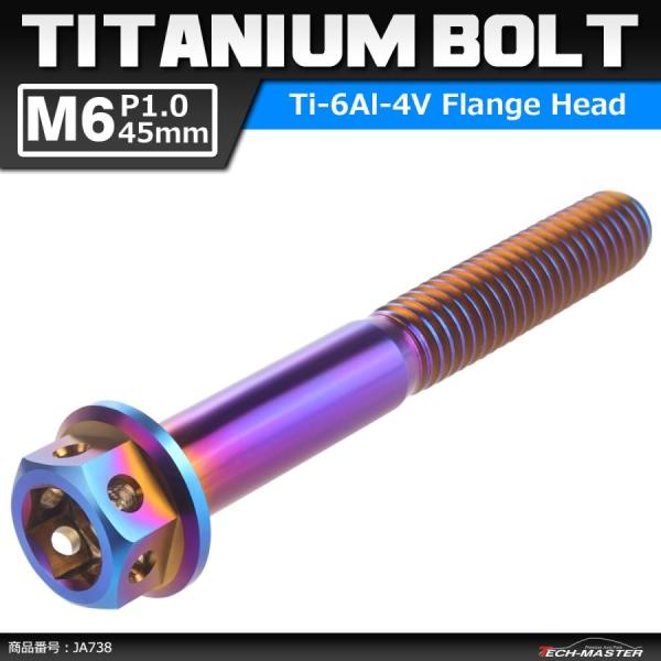 64チタンボルト M6×45mm P1.0 ホールヘッド 六角ボルト フランジ付き 六角ボルト 焼き...