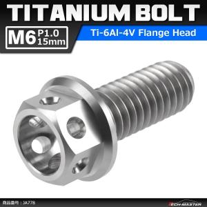 64チタンボルト M6×15mm P1.0 ホールヘッド 六角ボルト フランジ付 シルバーカラー 素地 1個 JA778｜tech