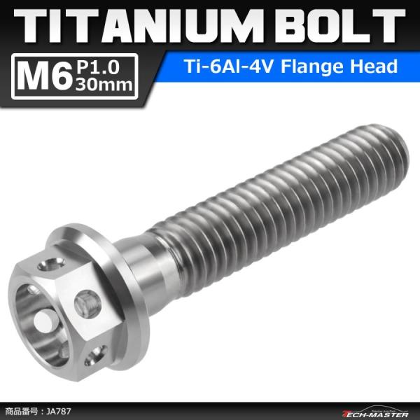 64チタンボルト M6×30mm P1.0 ホールヘッド 六角ボルト フランジ付 シルバーカラー 素...