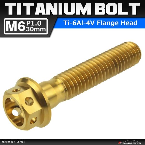 64チタンボルト M6×30mm P1.0 ホールヘッド 六角ボルト フランジ付 ゴールドカラー 1...