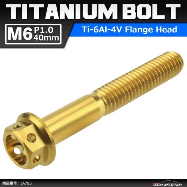 64チタンボルト M6×40mm P1.0 ホールヘッド 六角ボルト フランジ付 ゴールドカラー 1...
