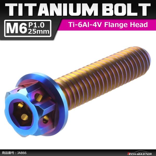 64チタンボルト M6×25mm P1.0 ヘキサゴン ホールヘッド 六角ボルト フランジ付き 六角...
