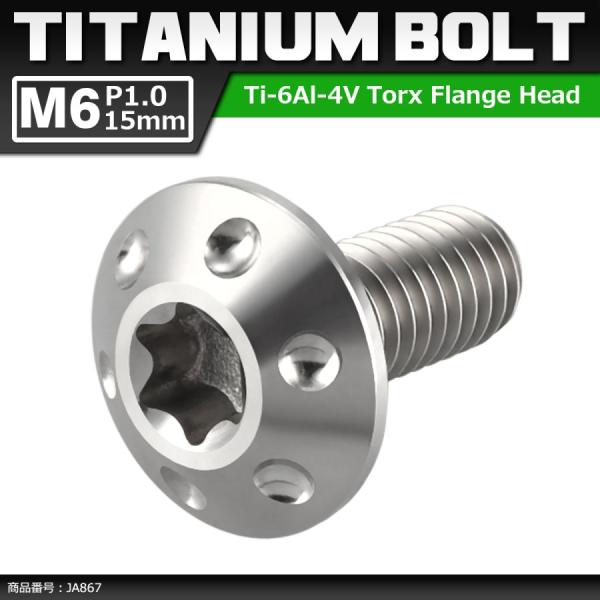 64チタンボルト M6×15mm P1.0 頭部径14mm テーパー ホールヘッド トルクス穴 ワイ...