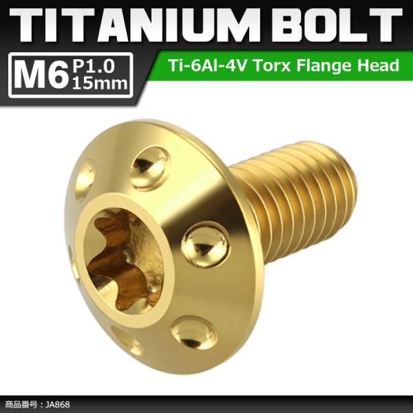 64チタンボルト M6×15mm P1.0 頭部径14mm テーパー ホールヘッド トルクス穴 ワイ...