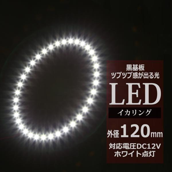 LED イカリング ホワイト 外径120mm イクラリング 黒基板 OZ239