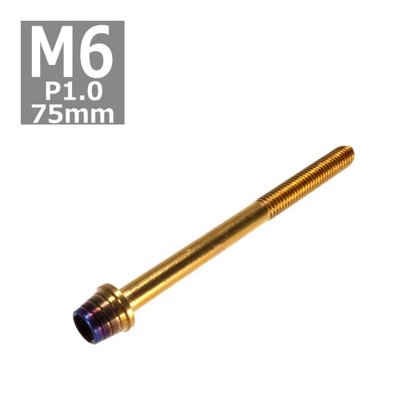 キャップボルト M6×75mm P1.0 テーパーシェル ステンレス ゴールド＆焼きチタンカラー 1...
