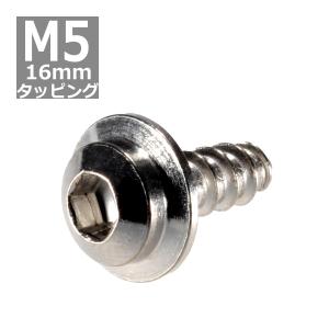 M5×16mm タッピングネジ タッピングビス ...の商品画像