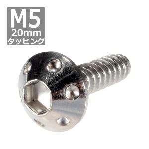 M5×20mm タッピングネジ タッピングビス タッピングボルト シルバー