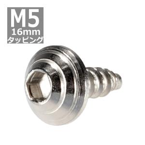 M5×16mm タッピングネジ タッピングビス タッピングボルト シルバー ステンレス 1本 TC0078