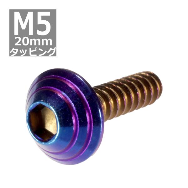 M5×20mm タッピングネジ タッピングビス タッピングボルト 焼きチタンカラー ステンレス 1本...