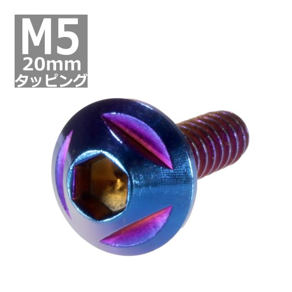 M5×20mm タッピングネジ タッピングビス タッピングボルト 焼きチタンカラー ステンレス 1本...