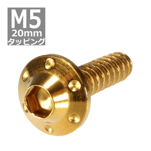 M5×20mm タッピングネジ タッピングビス タッピングボルト ゴールド ステンレス 1本 TC0...