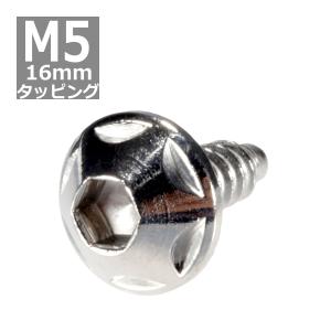 M5×16mm タッピングネジ タッピングビス タッピングボルト シルバー ステンレス 1本 TC0123｜tech