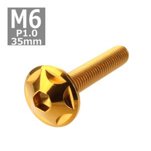 ボタンボルト M6×35mm P1.0 スターヘッド ステンレス ゴールド 1個 TR0028｜tech