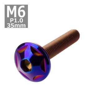 ボタンボルト M6×35mm P1.0 スターヘッド ステンレス 焼きチタンカラー 1個 TR0042｜tech