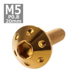 ボタンボルト M5×20mm P0.8 ホールヘッド ステンレス ゴールド 1個 TR0062｜tech