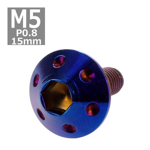 ボタンボルト M5×15mm P0.8 ホールヘッド ステンレス 焼きチタンカラー 1個 TR007...
