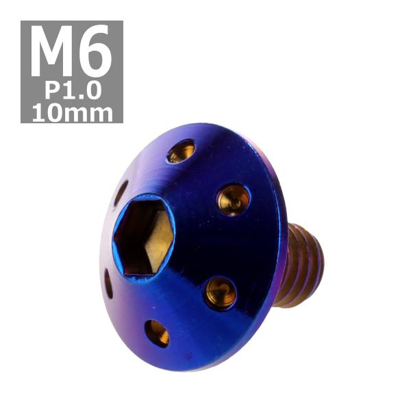 ボタンボルト M6×10mm P1.0 ホールヘッド ステンレス 焼きチタンカラー 1個 TR007...