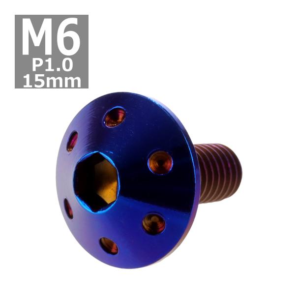 ボタンボルト M6×15mm P1.0 ホールヘッド ステンレス 焼きチタンカラー 1個 TR008...