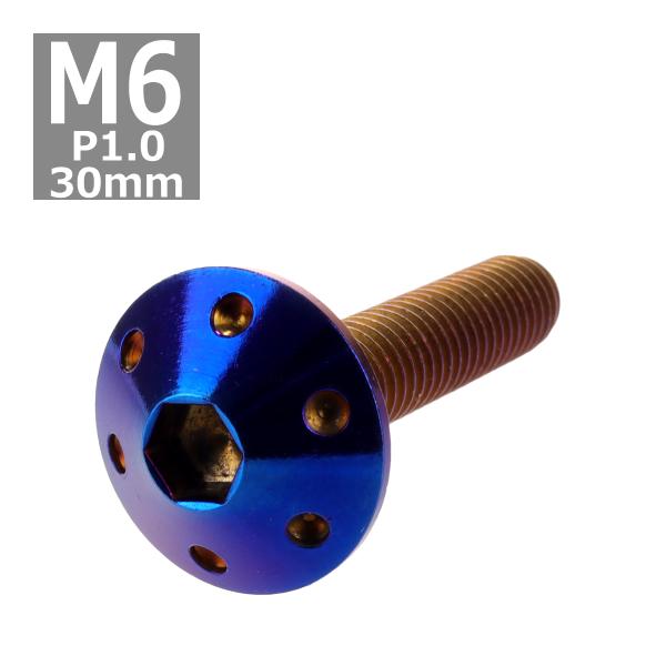 ボタンボルト M6×30mm P1.0 ホールヘッド ステンレス 焼きチタンカラー 1個 TR008...