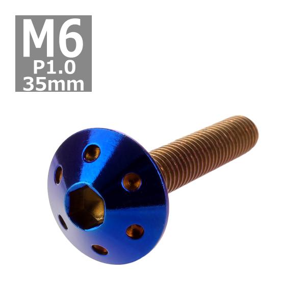 ボタンボルト M6×35mm P1.0 ホールヘッド ステンレス 焼きチタンカラー 1個 TR008...