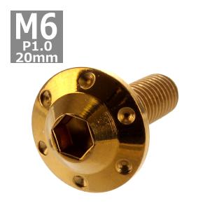 ボタンボルト M6×20mm P1.0 ホールヘッド H-1 ステンレス ゴールド 1個 TR0193｜tech