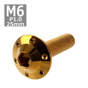 ボタンボルト M6×25mm P1.0 ホールヘッド H-1 ステンレス ゴールド 1個 TR0194｜tech