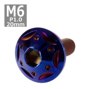 ボタンボルト M6×20mm P1.0 スターホールヘッド ステンレス 焼きチタンカラー 1個 TR0249｜tech