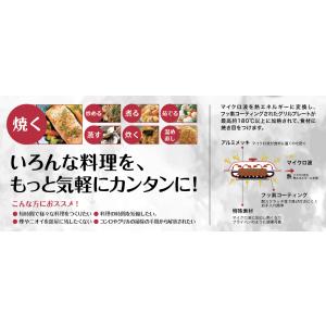 電子レンジ調理器 角型 焼き魚 焼く グリル ...の詳細画像2