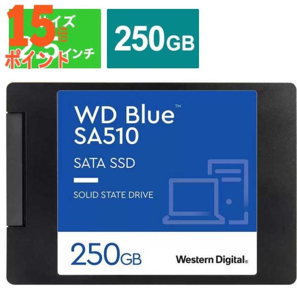 5個セット WESTERN DIGITAL WD Blue SA510 SATA SSD [2.5イ...