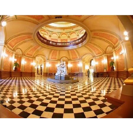 0.35x ハイグレード魚眼レンズ Leica D-LUX 7用