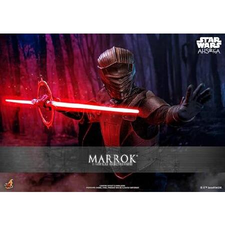 Hot Toys スター・ウォーズ アソーカ・マロック 1/6スケール 12インチ コレクタブルフィ...
