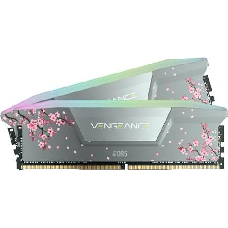 CORSAIR Vengeance RGB DDR5 RAM 32GB (2x16GB) 6000M...