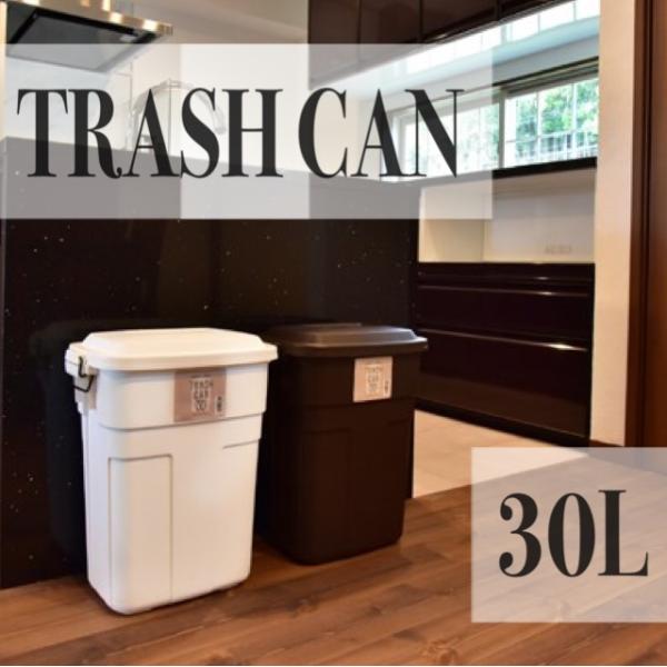 ダストボックス スリム おしゃれ カウンター 30L ゴミ箱