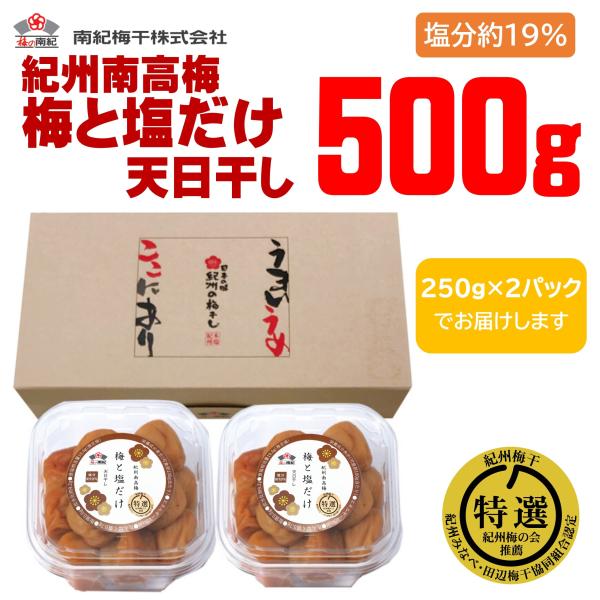 梅干し 南高梅 大粒 梅の南紀 梅と塩だけ 天日干し 500g 贈り物 プレゼント ギフト