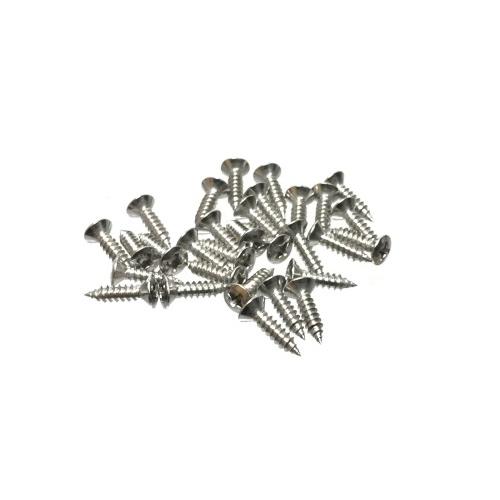 ストラトキャスター ボディー用ネジ30本セット ピックガード トレモロキャビティーカバー アウトプッ...