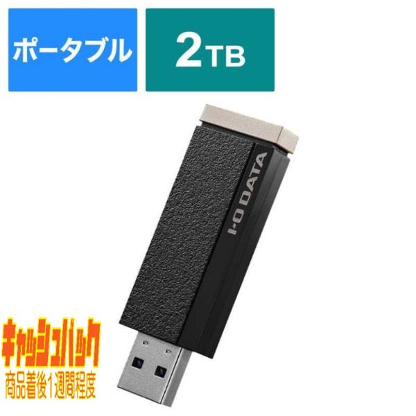 10000円キャッシュバック IOデータ 録画用スティックSSD ［2TB ポータブル型］ AVSS...