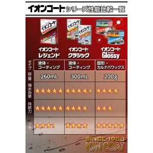 イチネンケミカルズ Ichinen Chemi...の詳細画像1