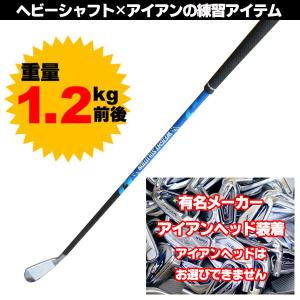 ゴルフ スイング練習器具 実打可能有名メーカーアイアン × WEIGHT SOLUTION ウェイトソリューション HEAVYWEIGHT #6 #7｜teeolive-kobe