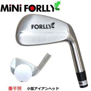 番手別販売 mini FORLLY ミニ フォーリー 練習用に最適！小型アイアンヘッド ヘッドのみ販売｜teeolive