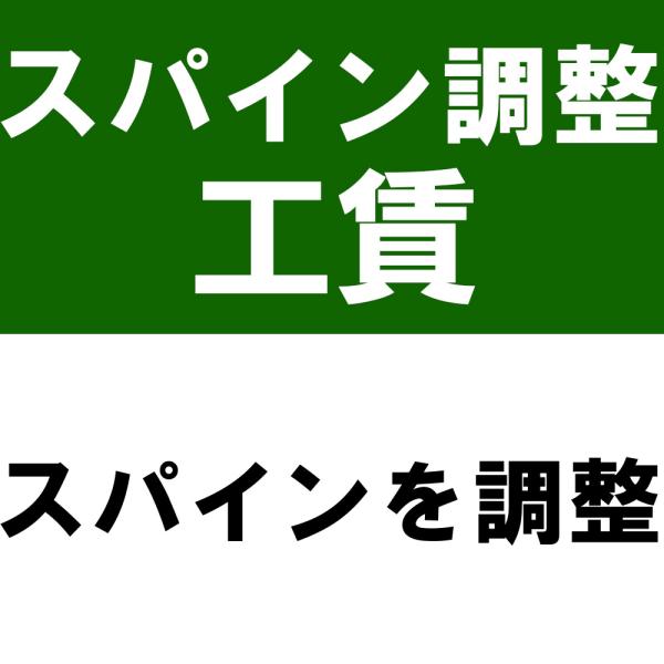 スパイン調整工賃※本数分ご購入ください 爆買
