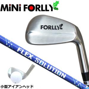 ボールを打てるスイング練習アイアン mini FORLLY 各番手にFLEX SOLUTIONを装着 フレックスソリューション｜teeolive