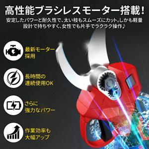 剪定ばさみ電動 充電式 切断直径40mm 電池...の詳細画像5