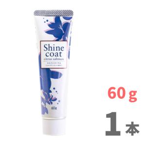 薬用歯磨き粉 シャインコート 60g（医薬部外品）｜teeth-teeth-market