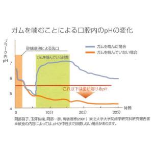 歯科専用ガム POs-Ca F(ポスカ・エフ)...の詳細画像2