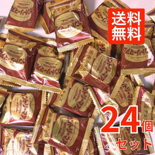 カントリーマアム 厳選チョコ 24枚 不二家 ポイント利用