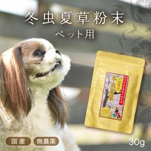 NOEVIR（ノエビア） チベット冬虫夏草 30包 : 美彩 - 通販 - Yahoo