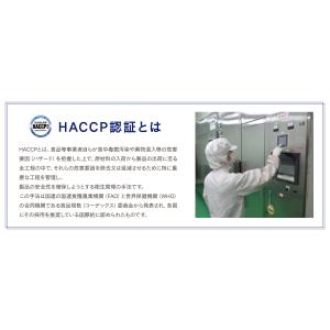 九州産菊芋粉末 150g 3個セット イヌリン...の詳細画像4