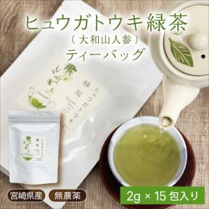 ヒュウガトウキ緑茶2g×15包 高千穂町産 ティーバッグ むくみ 冷え｜tegeyokaichiba